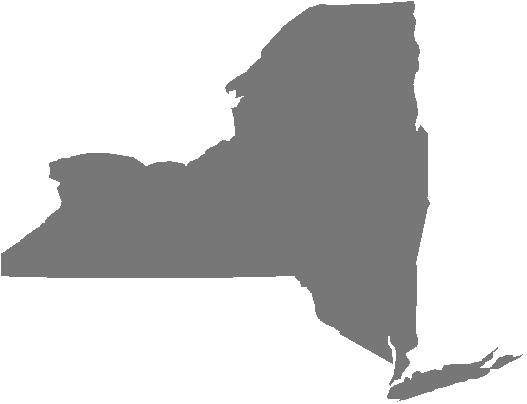 00501 ZIP Code in New York